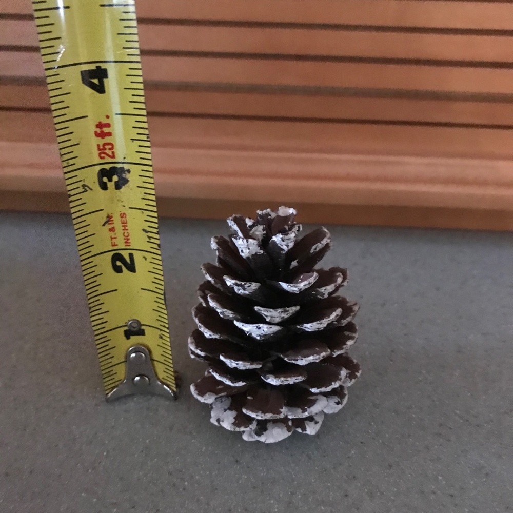Thanks Giving Decor - Picture 10 of 11